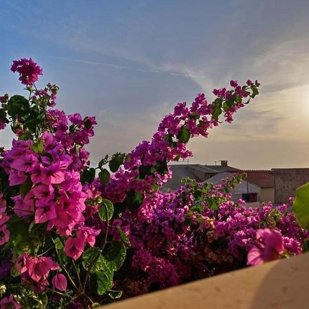 Apartmani Martinovka Драшніце Екстер'єр фото